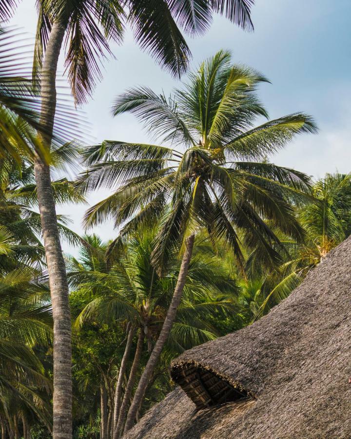 Diani Sea Lodge Diani Beach Bagian luar foto